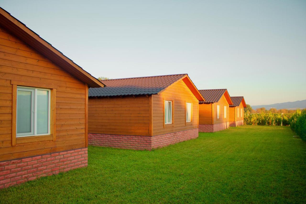 Finca Idoize Camping Hotel Akhmeta Dış mekan fotoğraf