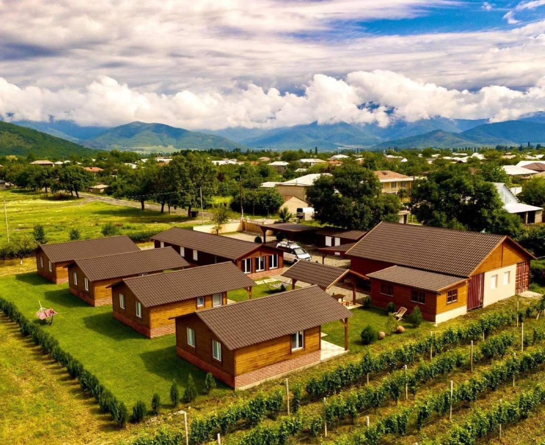 Finca Idoize Camping Hotel Akhmeta Dış mekan fotoğraf