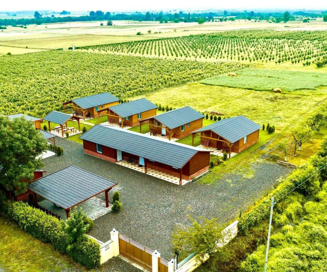 Finca Idoize Camping Hotel Akhmeta Dış mekan fotoğraf