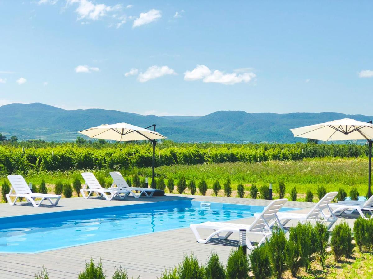 Finca Idoize Camping Hotel Akhmeta Dış mekan fotoğraf